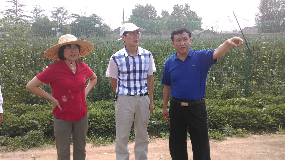 試驗現(xiàn)場圖片