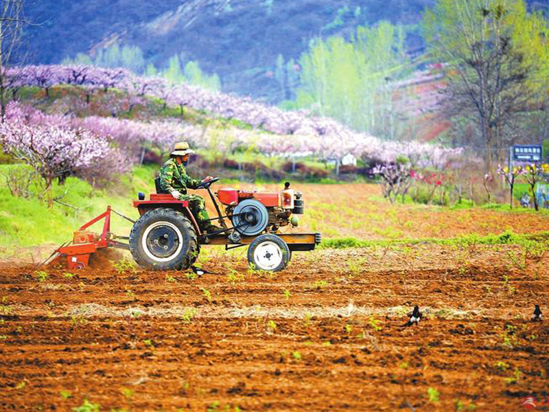 突破關(guān)鍵核心技術(shù) 打造農(nóng)業(yè)科技創(chuàng)新平臺(tái)
